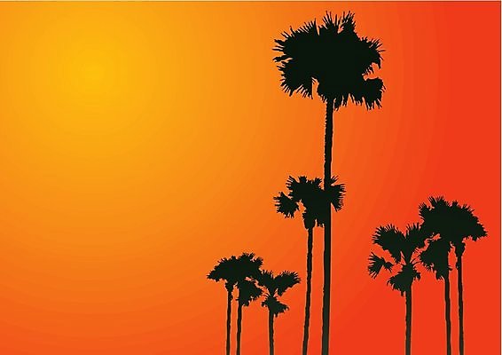 EPS 해외이미지 디자인 실루엣 잎 일러스트 자연 추상 휴가 열대 손바닥 풍경 야외 그래픽 여름 야자수 태양 평화 고요 일몰 그림 스타일 해외202004 해외일러스트 자연요소 나무 식물 손 계절 컨셉 무늬 촬영기법 노을 생태계 파일형식 벡터 이미지허브