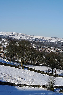 포토 JPG 해외이미지 나무 벽 겨울 사람없음 얼음 추위 흰색 요크셔테리어 서리 북쪽 해외202004 해외포토 자연요소 식물 계절 컬러 테리어 방향 파일형식 이미지허브
