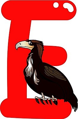 EPS 해외이미지 동물 캐릭터 디자인 알파벳 교육 행복 어린이 일러스트 교실 학교 조류 종류 그래픽 책 유치원 게임 가르침 E 어플리케이션 만화 편지 심볼 사인 독수리 코믹 페이지 동물상 맞춤법 해외202004 해외일러스트 일러캐릭터 영어 감정 놀이 사람 한글 조형물 파일형식 벡터 이미지허브