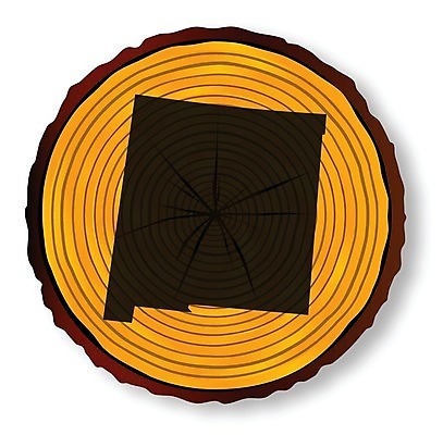 EPS 해외이미지 실루엣 지도 일러스트 부분 미술 목재 그래픽 낟알 그림 통나무 애리조나 동쪽 종료 고립 수목 해외202004 해외일러스트 나무 재료 문화예술 촬영기법 미국 방향 파일형식 벡터 이미지허브