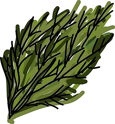 EPS 해외이미지 식물 손 디자인 음식 백그라운드 잎 패턴 다이어트 채소 일러스트 재료 자연 파슬리 건강 요리 미술 여름 세트 주방 정원 샐러드 흰색 나뭇가지 신선 양념 조미료 스케치 수집 먹기 허브 향신료 오브젝트 그림 날것 바질 로즈메리 내추럴 고립 딜 엘리먼트 채식주의자 해외202004 해외일러스트 나무 계절 컬러 무늬 모션 문화예술 신체부위 생태계 채식 향미료 파일형식 벡터 이미지허브