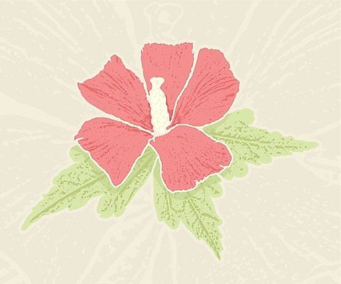 EPS 해외이미지 꽃 백그라운드 잎 일러스트 빨간색 선탠 복고 그런지 히비스커스 해외202004 해외일러스트 식물 컬러 파일형식 벡터 이미지허브