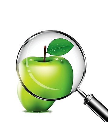 EPS 해외이미지 응시 음식 과학 컨셉 잎 과일 일러스트 유리 돋보기 건강 그림자 장비 탐험 기구 공구 신선 플랫 확대 달콤 사과 사인 검색 유기농 시력 발견 숙성 해외202004 해외일러스트 식물 웰빙 시선 재질 도구 맛 파일형식 벡터 이미지허브