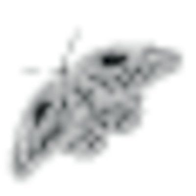 EPS 해외이미지 모양 동물 디자인 실루엣 나비 곤충 일러스트 자연 미술 그래픽 장식 검은색 흰색 화려 우아함 벌레 그림 내추럴 고립 엘리먼트 해외202004 해외일러스트 컬러 컨셉 문화예술 촬영기법 생태계 파일형식 벡터 이미지허브