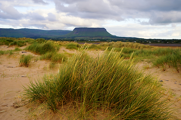 포토 JPG 해외이미지 식물 구름 모래 백그라운드 밭 자연 산 사람없음 초록색 여름 성장 신선 칼날 질감 아일랜드 내추럴 해외202004 해외포토 자연요소 계절 유럽 컬러 농업 생태계 파일형식 이미지허브