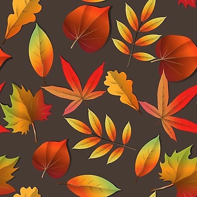 EPS 해외이미지 나무 식물 디자인 계절 백그라운드 단풍 잎 꽃무늬 패턴 오렌지 일러스트 자연 벽지 추상 미술 그래픽 장식 빨간색 컬러풀 갈색 노란색 유행 정원 가을 흰색 직물 숲 인쇄 9월 타일 그림 질감 자작나무 10월 내추럴 엘리먼트 해외202004 해외일러스트 꽃 컬러 무늬 과일 문화예술 날짜 생태계 파일형식 벡터 이미지허브