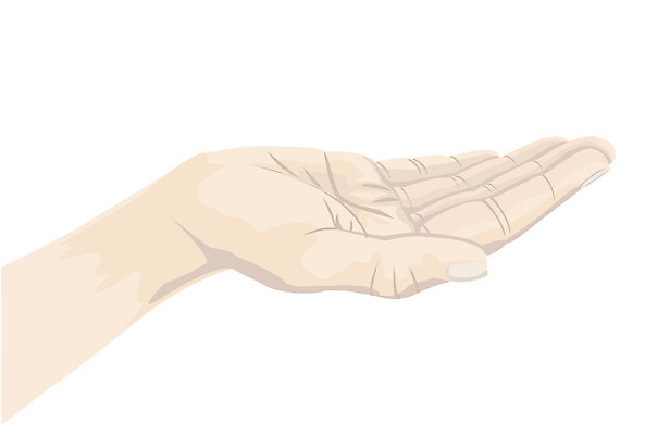 EPS 해외이미지 손 컨셉 일러스트 손바닥 잡기 확대 주기 쇼 보여주기 획득 고립 헬프 해외202004 해외일러스트 모션 신체부위 도움 파일형식 벡터 이미지허브