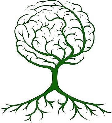 EPS 해외이미지 클립아트 나무 식물 디자인 교육 실루엣 백그라운드 컨셉 잎 일러스트 통신 추상 아이디어 건강 사람 그래픽 초록색 환경 성장 나뭇가지 마음 심볼 뇌 심플 뿌리 포도나무 혁명 개발 벌거벗은 획기적 해외202004 해외일러스트 컬러 무늬 촬영기법 과일나무 파일형식 벡터 이미지허브