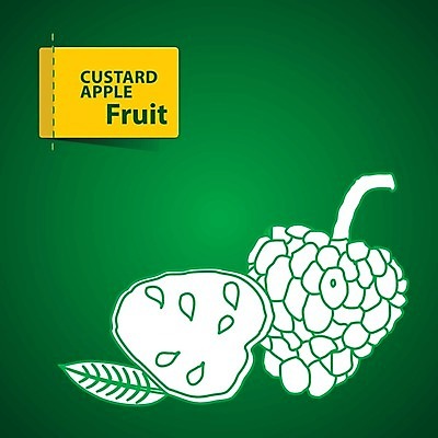 EPS 해외이미지 라이프스타일 디자인 음식 조각 스티커 오렌지 일러스트 자연 딸기 포도 수박 건조 바나나 건강 초록색 여름 라벨 정원 주스 수확 신선 체리 시장 달콤 맛 사과 만화 레몬 파인애플 그림 클립 산딸기 망고 고립 배려 살구 숙성 채식주의자 비건 해외202004 해외일러스트 계절 음료 컬러 컨셉 농업 과일 프레임 생활 열대과일 생태계 채식 파일형식 벡터 이미지허브