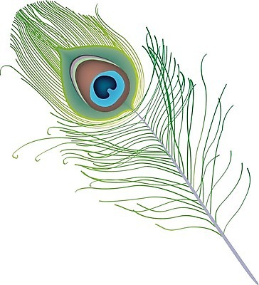 EPS 해외이미지 동물 일러스트 조류 미술 장식 초록색 컬러풀 농장 갈색 흰색 깃털 호기심 꼬리 솜털 고립 엘리먼트 해외202004 해외일러스트 감정 컬러 컨셉 농업 문화예술 파일형식 벡터 이미지허브