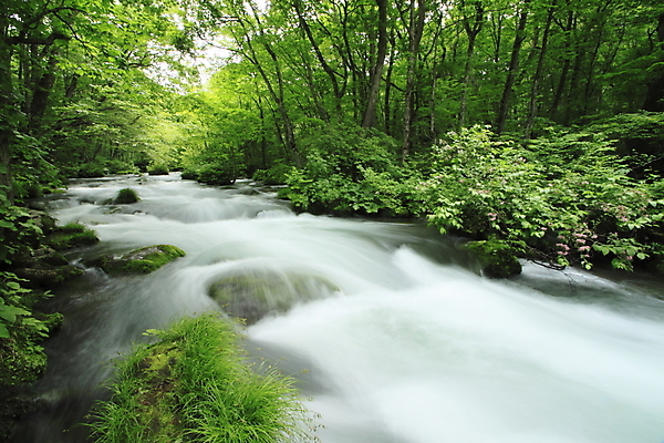 포토 JPG 해외이미지 나무 자연 사람없음 초록색 물 햇빛 일본 힘 폭포 광선 해외202004 해외포토 자연요소 식물 아시아 컬러 태양 생태계 파일형식 이미지허브