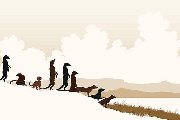 EPS 해외이미지 동물 응시 실루엣 야생동물 일러스트 포유류 가족 자연 풍경 그래픽 갈색 공백 그룹 호기심 윤곽 팩 경보 미어캣 카피스페이스 해외202004 해외일러스트 시선 감정 컬러 컨셉 관계 촬영기법 화장품 생태계 파일형식 벡터 이미지허브