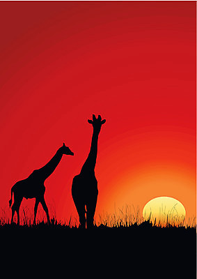 EPS 해외이미지 디자인 실루엣 두마리 일러스트 자연 사람없음 일몰 기린 숨김 해외202004 해외일러스트 컨셉 2 포유류 촬영기법 노을 생태계 파일형식 벡터 이미지허브