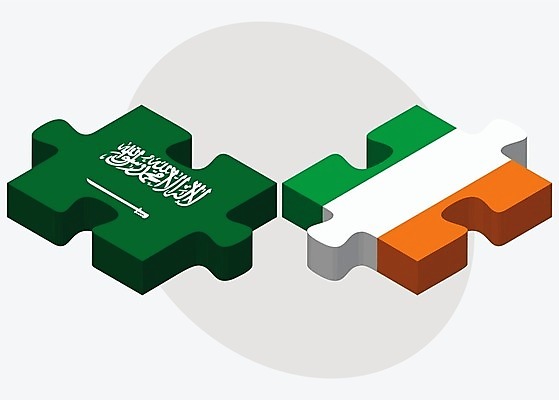 EPS 해외이미지 조각 컨셉 일러스트 관계 아프리카 협력 함께함 사람 그래픽 3D 깃발 퍼즐 연결 결합 접속 오브젝트 흰배경 아라비아 아일랜드 나눔 해결 더블린 사우디아라비아 고립 공화국 아랍어 왕국 전국 정부 정치 통일 해외202004 해외일러스트 유럽 나라 백그라운드 중동 흰색 디지털합성 파일형식 벡터 컬러 이미지허브
