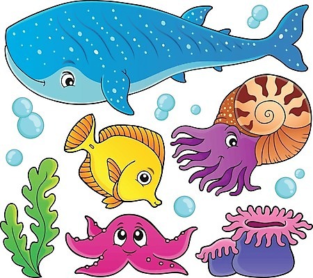 EPS 해외이미지 클립아트 동물 야생동물 바다 잎 일러스트 자연 불가사리 연체동물 어류 미술 세트 수중 거품 그리기 수집 고래 그림 상어 촉수 고립 소금물 아네모네 앵무조개 해외202004 해외일러스트 식물 꽃 포유류 모션 문화예술 조개 극피동물 무척추동물 수중동물 생태계 파일형식 벡터 이미지허브