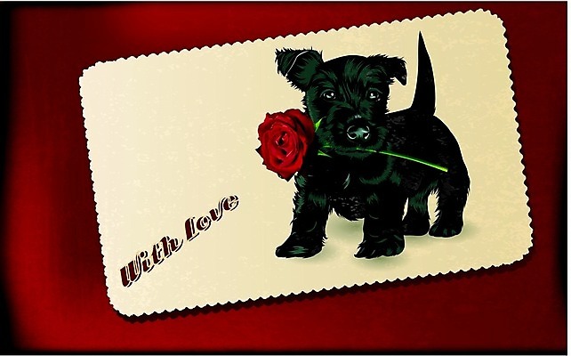 EPS 해외이미지 동물 응시 꽃 새끼 컨셉 데이트 일러스트 휴가 발렌타인데이 선물 사랑 앉기 빨간색 반려동물 장미 검은색 우정 흰색 축하 표현 인사 잡기 입 개화 날짜 개 강아지 작음 모피 심볼 주기 고립 기르기 동반자 마스티프 미안 유래 해외202004 해외일러스트 식물 시선 감정 컬러 포유류 모션 데이이벤트 신체부위 친구 예절 사죄 크기 돌봄 파일형식 벡터 이미지허브