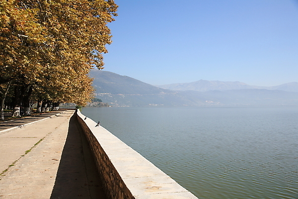 포토 JPG 해외이미지 나무 바다 자연 하늘 풍경 사람없음 야외 여름 그리스 해외202004 해외포토 식물 계절 유럽 생태계 파일형식 이미지허브