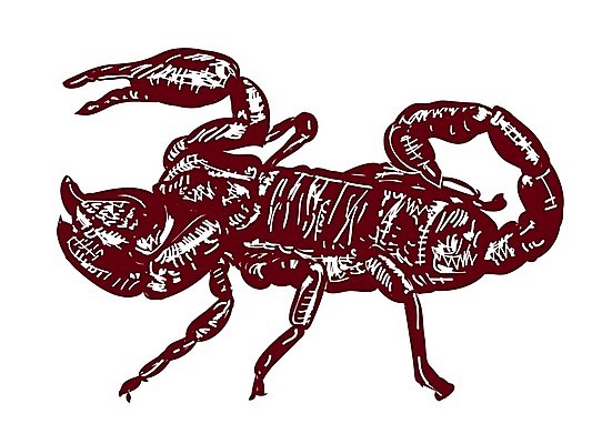 EPS 해외이미지 동물 실루엣 곤충 일러스트 자연 그래픽 빨간색 독약 위험 스케치 전갈 문신 심볼 사인 꼬리 점성술 전갈자리 찌르기 고립 해외202004 해외일러스트 컬러 컨셉 절지류 모션 촬영기법 미술 별자리 생태계 파일형식 벡터 이미지허브