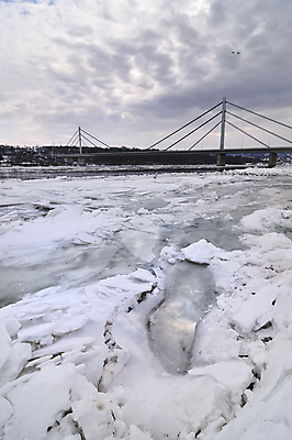 포토 JPG 해외이미지 동물 계절 겨울 자연 조류 오리 풍경 사람없음 물 강 냉동 얼음 추위 흰색 서리 백조 다뉴브강 해외202004 해외포토 자연요소 컬러 생태계 파일형식 이미지허브