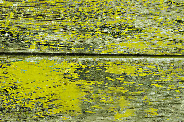 포토 JPG 해외이미지 디자인 벽 백그라운드 표면 날씨 추상 사람없음 목재 초록색 빛 컬러풀 노란색 어둠 수확 골동품 시골 거친 그리기 널 낟알 질감 복고 외양간 그런지 옛날 해외202004 해외포토 나무 컬러 무늬 농업 재료 모션 파일형식 이미지허브