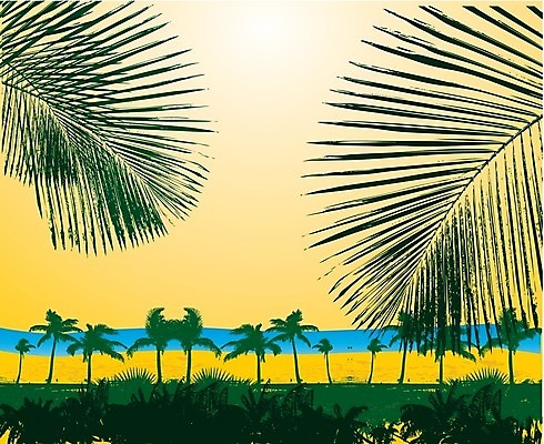 EPS 해외이미지 모양 나무 식물 편집 디자인 배너 계절 음료 파도 바다 섬 여행 백그라운드 잎 골프 일러스트 자연 휴가 휴식 멕시코 프레임 손바닥 풍경 해변 야외 그래픽 여름 환경 페인트 서핑 두루마리 휴양지 서퍼 대서양 남쪽 그런지 이국적 파라다이스 해외202004 해외일러스트 손 컨셉 북아메리카 운동선수 구기 장소 수상스포츠 방향 생태계 파일형식 벡터 이미지허브