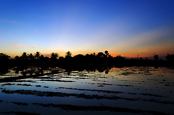 포토 JPG 해외이미지 나무 식물 실루엣 아시아 음식 패턴 오렌지 사람없음 파란색 반사 황혼 일몰 서식 윤곽 웅덩이 해외202004 해외포토 나라 컬러 무늬 과일 촬영기법 노을 파일형식 이미지허브
