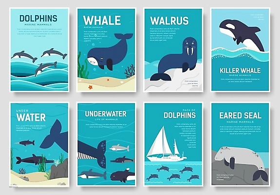 EPS 해외이미지 야생동물 일러스트 자연 털 사람없음 물 강 항구 점프 수중 회색 흰색 그룹 소 사자 물개 고래 콧수염 오브젝트 돌고래 꼬리 클립 육식동물 지느러미 수족관 S 해파리 리빙 살인범 아마존 많음 시리즈 해외202004 해외일러스트 자연요소 동물 알파벳 컬러 컨셉 포유류 교통시설 모션 수염 바다동물 수중동물 자포동물 생태계 파일형식 벡터 이미지허브