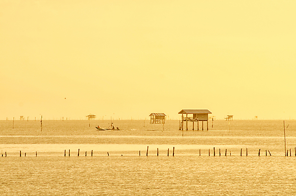 포토 JPG 해외이미지 전통 라이프스타일 디자인 실루엣 문화 파도 바다 여행 오렌지 건축양식 태국 자연 하늘 표면 휴가 주택 풍경 사람없음 야외 물 빛 컬러풀 햇빛 태양 반사 마을 일출 검은색 일몰 시간 만 보트 오두막 오브젝트 휴양지 장면 낚시꾼 스타일 해외202004 해외포토 자연요소 건축 아시아 컬러 배_교통 과일 촬영기법 건물 생활 노을 장소 생태계 파일형식 이미지허브