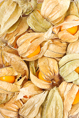 포토 JPG 해외이미지 접시 열매 음식 백그라운드 오렌지 과일 자연 건조 건강 사람없음 중국 껍질 흰색 그룹 달콤 맛 작음 질감 날것 흙더미 꼬투리 숙성 식용 영원 많음 해외202004 해외포토 식물 식기 아시아 컬러 컨셉 흙 크기 생태계 파일형식 더미 이미지허브