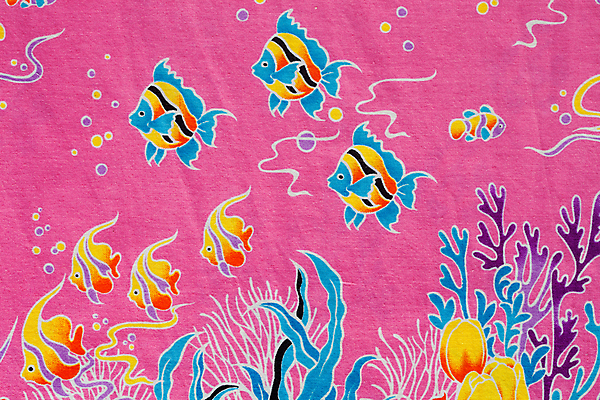 포토 JPG 해외이미지 야생동물 바다 분홍색 백그라운드 오렌지 태국 자연 종류 어류 미술 사람없음 장식 빨간색 컬러풀 반사 판넬 산호 질감 부드러움 내추럴 핸드메이드 디테일 해외202004 해외포토 동물 아시아 컬러 과일 문화예술 수중동물 감각 자포동물 생태계 파일형식 이미지허브