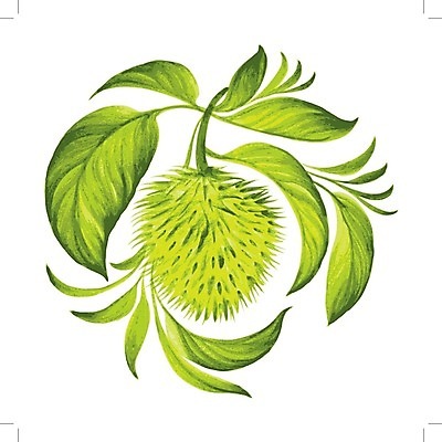 EPS 해외이미지 식물 손 디자인 문화 음식 백그라운드 잎 패턴 과일 일러스트 자연 수채화 미술 여러명 장식 초록색 여름 중국 페인트 봄 수확 흰색 나뭇가지 시간 원형 차 만화 인도인 허브 유기농 질감 복고 부족 내추럴 고립 구성 우크라이나 해외202004 해외일러스트 도형 외국인 나무 웰빙 계절 유럽 아시아 음료 컬러 다수 컨셉 무늬 농업 문화예술 사람 동양인 신체부위 생태계 파일형식 벡터 이미지허브