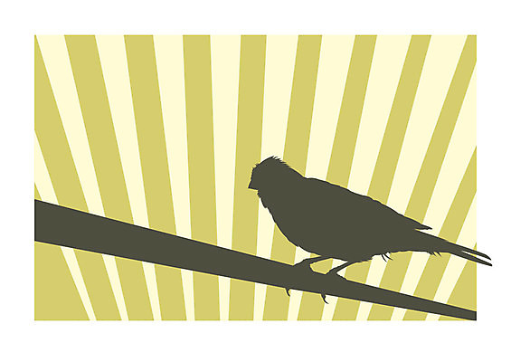 EPS 해외이미지 클립아트 동물 실루엣 백그라운드 일러스트 노래 조류 서기 반려동물 노란색 자유 슬픔 감옥 새장 우울증 해외202004 해외일러스트 감정 음악 컬러 컨셉 모션 촬영기법 질병 케이지 파일형식 벡터 이미지허브