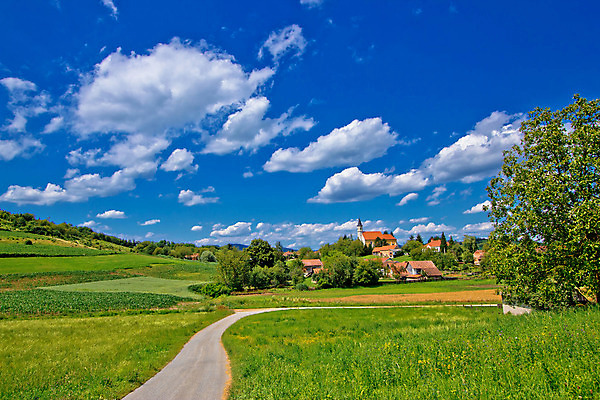 포토 JPG 해외이미지 나무 식물 도로 길 농업 자연 하늘 산 주택 안테나 파노라마 풍경 사람없음 초록색 여름 파란색 농작물 컬러풀 농경지 성당 교회 마을 환경 탑 계곡 봄 시골 숲 땅 언덕 시골집 크로아티아 강렬 고딕 바실리카 해외202004 해외포토 건축물 계절 유럽 산업 컬러 통신 종교건축 교통시설 촬영기법 건물 농장 생태계 파일형식 이미지허브