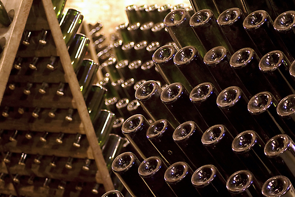 포토 JPG 해외이미지 전통 음료 유리 벽돌 사람없음 빨간색 초록색 와인 검은색 이탈리아 마시기 최고 맛 포도나무 옛날 지하실 노화 해외202004 해외포토 유럽 컬러 컨셉 모션 재질 주류 과일나무 파일형식 이미지허브