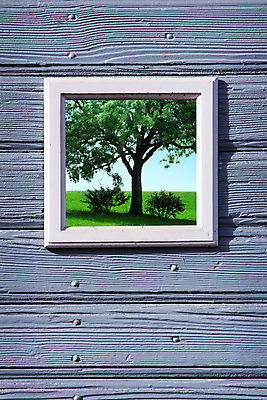 포토 JPG 해외이미지 나무 디자인 잎 건축양식 자연 유리 벽지 프레임 실내 사람없음 야외 목재 장식 초록색 파란색 문 평화 우주 침묵 방 수확 흰색 닫기 묘사 그림 질감 복고 내추럴 수목 옛날 줄서기 중고 카피스페이스 해외202004 해외포토 식물 건축 컬러 컨셉 농업 재료 모션 재질 내부 소리 공백 생태계 파일형식 이미지허브