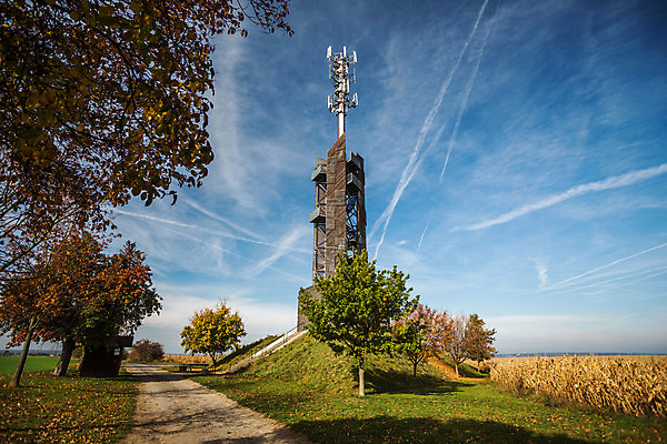 포토 JPG 해외이미지 식물 응시 계절 유럽 여행 백그라운드 겨울 밭 농업 자연 안테나 풍경 사람없음 야외 여름 농장 여행객 탑 와인 놀람 성장 가을 시골 포도나무 체코 내추럴 송신기 줄서기 모라비아 해외202004 해외포토 건축물 시선 감정 나라 산업 통신 모션 주류 표정 사람 과일나무 생태계 파일형식 이미지허브