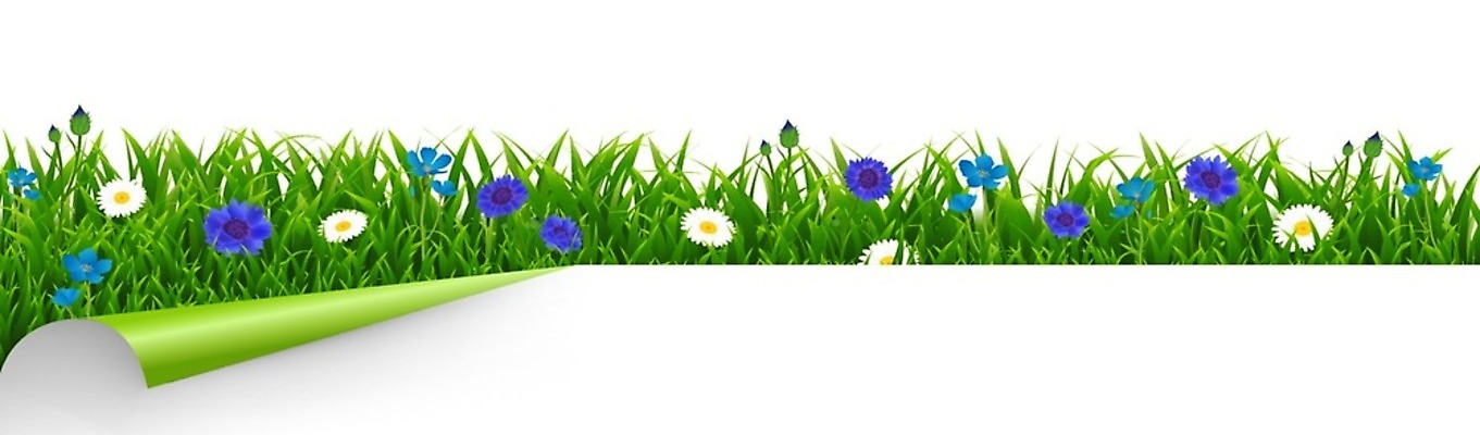 EPS 해외이미지 클립아트 모양 식물 디자인 계절 꽃 실루엣 백그라운드 잎 꽃무늬 밭 일러스트 프레임 잔디 가로 초록색 여름 파란색 정원 봄 흰색 신용카드 말벌 땅 수집 허브 오브젝트 에코 유기농 조경 내추럴 고립 생태학 엘리먼트 해외202004 해외일러스트 웰빙 교육 컬러 무늬 농업 촬영기법 금융 환경 벌_곤충 파일형식 벡터 이미지허브