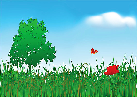 EPS 해외이미지 나무 구름 계절 꽃 실루엣 나비 백그라운드 잎 꽃무늬 일러스트 자연 하늘 미술 풍경 경사 잔디 야외 빨간색 초록색 여름 파란색 성장 벚꽃 흰색 시골 땅 허브 싱글 그림 장면 양귀비 망사 평야 해외202004 해외일러스트 자연요소 식물 컬러 곤충 무늬 문화예술 촬영기법 직물 생태계 파일형식 벡터 이미지허브