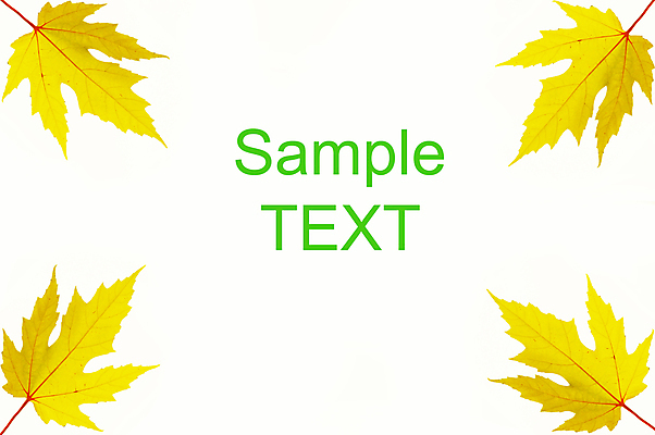 포토 JPG 해외이미지 디자인 계절 행복 백그라운드 단풍 잎 패턴 오렌지 텍스트 자연 날씨 사람없음 장식 빨간색 초록색 컬러풀 노란색 우주 정원 달력 가을 흰색 변화 황금 숲 11월 오브젝트 순환 10월 강렬 고립 해외202004 해외포토 식물 감정 컬러 컨셉 무늬 과일 모션 날짜 생태계 파일형식 이미지허브