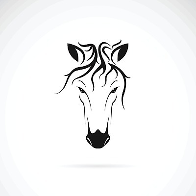 EPS 해외이미지 디자인 얼굴 일러스트 추상 사람없음 검은색 흰색 말_동물 심볼 그림 심플 윤곽 해외202004 해외일러스트 컬러 무늬 포유류 신체부위 파일형식 벡터 이미지허브