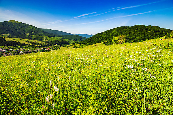포토 JPG 해외이미지 나무 구름 계절 꽃 여행 백그라운드 무지개 밭 농업 자연 하늘 산 풍경 경사 사람없음 야외 초록색 농장 마을 계곡 시골 숲 언덕 공터 해외202004 해외포토 자연요소 식물 산업 컬러 생태계 파일형식 이미지허브