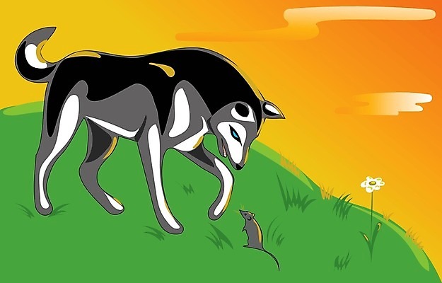 EPS 해외이미지 동물 응시 시선 포즈 2 일러스트 포유류 자연 서기 가로 초록색 반려동물 일몰 놀람 회색 개 쥐 위험 언덕 코 시력 사냥 늑대 알래스카 송곳니 내추럴 유래 해외202004 해외일러스트 감정 컬러 컨셉 모션 표정 신체부위 노을 미국 치아 설치류 생태계 파일형식 벡터 이미지허브