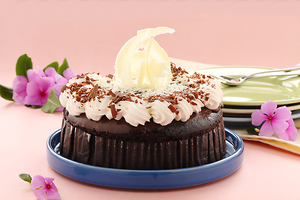 포토 JPG 해외이미지 접시 꽃 음식 조각 디저트 요리 사람없음 케이크 초콜릿 얼음 대접 달콤 맛 유혹 크림 냅킨 칼로리 충동구매 해로움 솔깃 해외202004 해외포토 자연요소 식물 식기 컨셉 쇼핑 과소비 파일형식 이미지허브