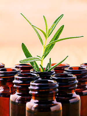 포토 JPG 해외이미지 근접촬영 사람없음 오일 병 오브젝트 담기 아로마 아로마테라피 로즈메리 해외202004 해외포토 식기 음식 뷰포인트 모션 화장품 허브 테라피 파일형식 이미지허브