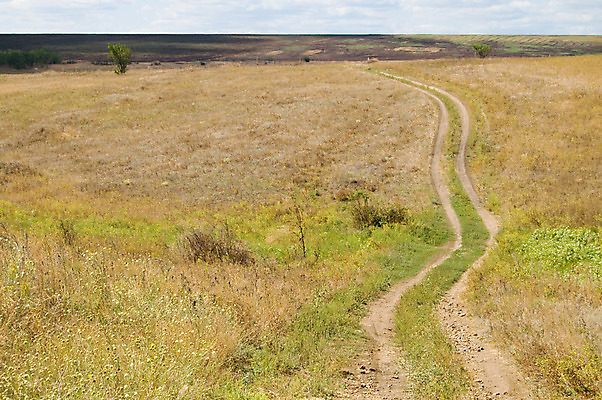 포토 JPG 해외이미지 구름 도로 하늘 풍경 사람없음 초록색 여름 파란색 햇빛 마을 경작 흙 흰색 시골 땅 스카이라인 흐림 방법 생태학 선로 스텝 우크라이나 평야 수평선 해외202004 해외포토 자연요소 계절 교육 유럽 길 컬러 교통시설 자연 날씨 태양 농사 파일형식 이미지허브