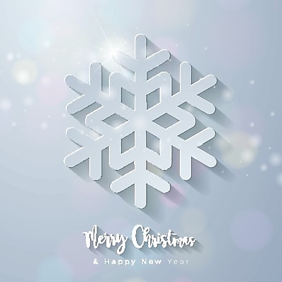 EPS 해외이미지 나무 템플릿 디자인 배너 행복 별 백그라운드 컨셉 크리스마스 겨울 일러스트 비즈니스 공 유리 추상 휴가 새로움 기념 기술 선물 타이포그라피 장식 빨간색 빛 사무실 숫자 파티 3D 달력 축하 인사 신용카드 황금 폭발 연도 질감 네온 광택 마법 그런지 효과 해외202004 해외일러스트 자연요소 식물 문자 계절 기념일 감정 컬러 무늬 재질 이벤트 금융 예절 디지털합성 파일형식 벡터 이미지허브