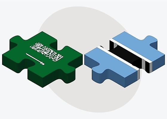 EPS 해외이미지 조각 컨셉 일러스트 관계 아프리카 협력 함께함 사람 그래픽 3D 깃발 퍼즐 연결 결합 접속 오브젝트 흰배경 아라비아 나눔 해결 사우디아라비아 고립 공화국 보츠와나 아랍어 왕국 전국 정부 정치 통일 해외202004 해외일러스트 나라 중동 흰색 디지털합성 파일형식 벡터 컬러 이미지허브