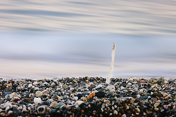 포토 JPG 해외이미지 구름 바다 여행 생각 오렌지 사람없음 여름 평화 일출 침묵 일몰 뜨거움 고독 깃털 부드러움 암초 해외202004 해외포토 자연요소 계절 감정 컨셉 과일 노을 소리 감각 파일형식 이미지허브