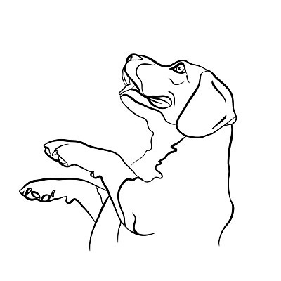 EPS 해외이미지 동물 응시 행복 일러스트 장난 서기 앉기 반려동물 흰색 개 강아지 비글 송곳니 구걸 고립 기르기 해외202004 해외일러스트 시선 감정 컬러 포유류 모션 치아 돌봄 파일형식 벡터 이미지허브