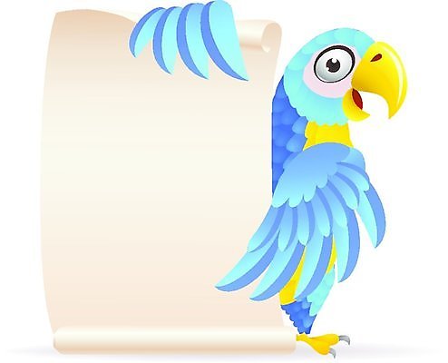 EPS 해외이미지 동물 캐릭터 배너 날개 일러스트 조류 서기 미소 들기 사람없음 파란색 노란색 공백 두루마리 앵무새 보여주기 해외202004 해외일러스트 일러캐릭터 컬러 모션 표정 파일형식 벡터 이미지허브